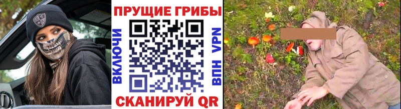 Псилоцибиновые грибы прущие грибы  купить  цена  Юхнов 